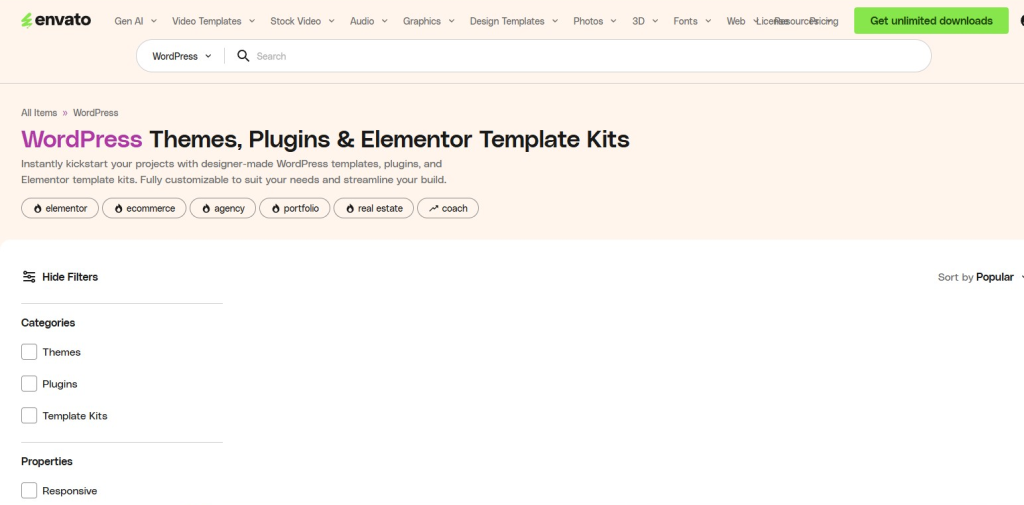 Website Themes and Plugins